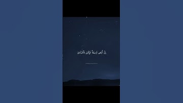 تلاوة مميزة من سورة العنكبوت ٣ | عبدالرحمن مسعد | #قرآن #قران_كريم  #quran #عبدالرحمن_مسعد #reels