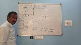 Multirate DSP- lesson 1 - spectrum of downsampling
