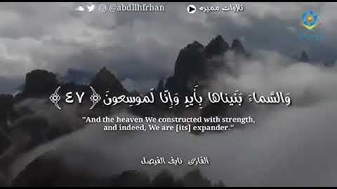 القارئ / نايف الفيصل