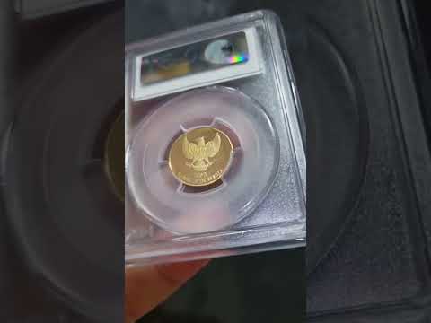 Koin Emas Komodo 50 Rupiah Tahun 1995 #uang #coin #uangkunoyangpalingdicari #koleksiuangkuno