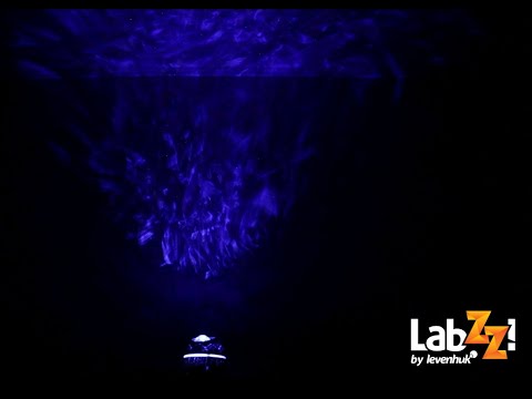 Видео: Астропланетарий Levenhuk LabZZ SP10 Supernova