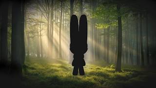 Redrawing my GRASS Starter