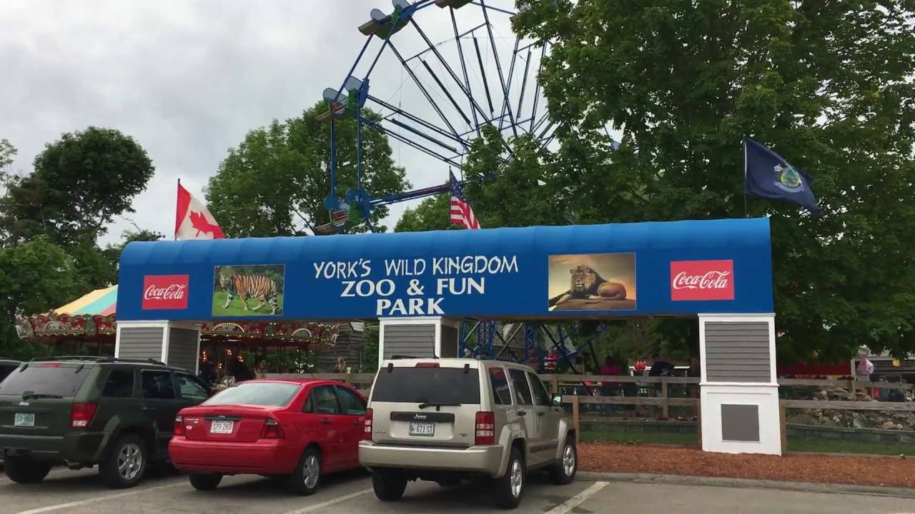 York's Wild Kingdom Walkthru YouTube