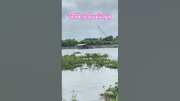 วิถีแม่มูล#วิถีชาวบ้าน #วิถีอีสานบ้านยายปริก #แม่น้ำมูล #แม่น้ำ #วิถีชาวบ้าน