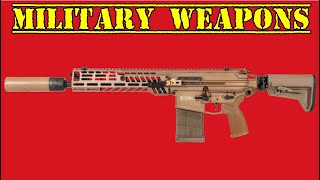 🔴 Supreme Court Has Ruled The Second Amendment Protects Military Firearms