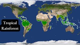 RAINFOREST, SINGLE BEST LINE OF DEFENSE AGAINST THE CLIMATE BOMB