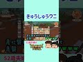 【Dinkum】九州急襲吸収【52歳夫婦の島開拓】