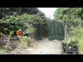 Turning an Abandoned House Clean in Just One Day