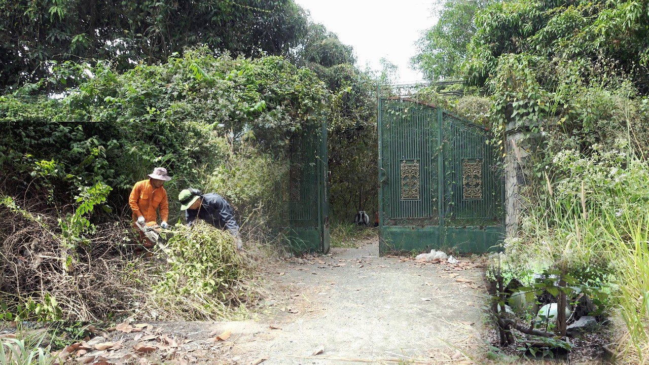 Как привести в порядок заброшенный дом всего за один день