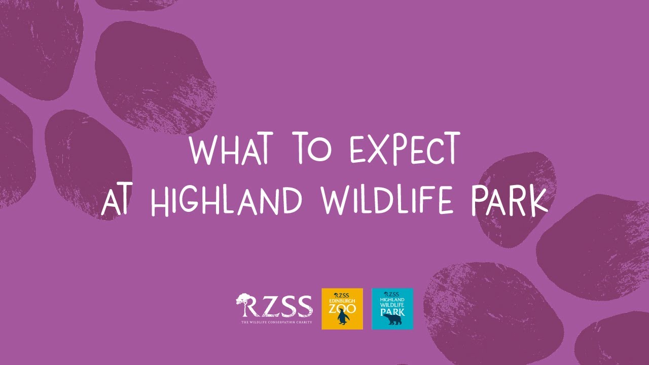 What to Expect at Highland Wildlife Park | Royal Zoological Society of Scotland