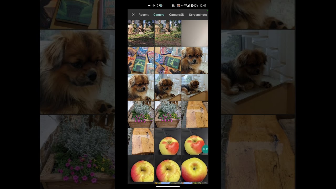 GCam 8.7.250 , BSG , SmartScreenRecord