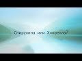 Сыроедение. Спирулина или Хлорелла?