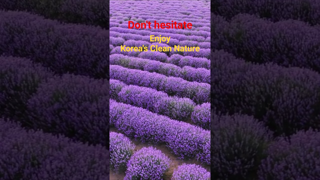 Korea's East Coast(Samcheok, Yangyang) good to travel in June (Travel: No Finish Line)