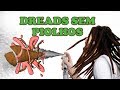 DREADS SEM PIOLHOS - COMO PREVENIR