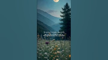 لا إله إلا اللّٰه 🍀القرآن الكريم 🍀سورة البقره 🍀القارئ مشاري العفاسي 🍀صلوا على النبي ﷺ🍀