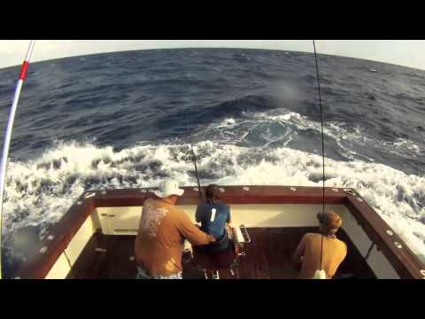 More Black Marlin Fishing Part 2