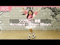 나하은 (Na Haeun) - 모모랜드 (Momoland) - 뿜뿜 (BBoom BBoom) 댄스커버