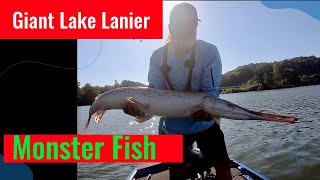 Giant Lake Lanier Monster Fish