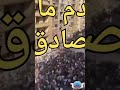 ميدان التحرير راجعين يافلسطين ميدان التحرير غزة فلسطين مصر 