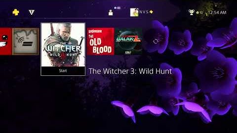 [NA] Hanami (Cherry Blossom Festival) Dynamic [PS4 Theme]