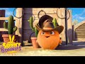 SUNNY BUNNIES - Hopper's Wild West Skills | Season 2 | Cartoons for Children