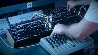 DFAM TECHNO + Subharmonicon, Mother-32 and Roland tr06 techno