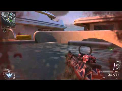 CoD：BO2 TS(?)