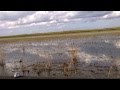 Riding airboat in Everglades, Florida