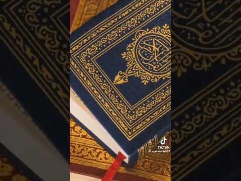 لو بتحب سيدنا محمد هيعمل حقتين ازل حاجة هتصلي عليه تانى حاجه ضع لايك واشتراك