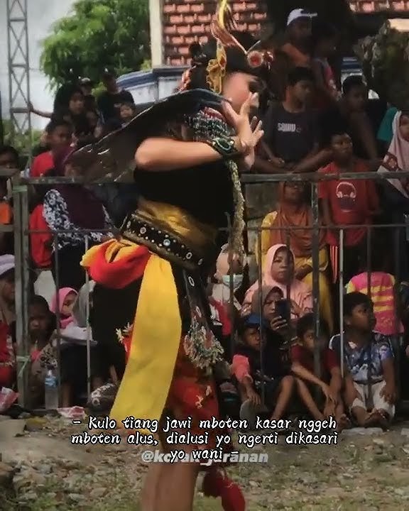 story'wa 30 detik,celeng🐗