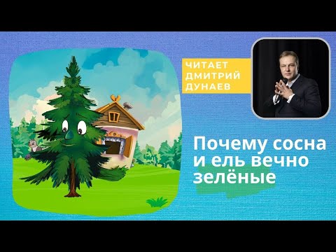 Сказка "Почему сосна и ель вечно зелёные", ведущий-рассказчик Дмитрий Николаевич Дунаев