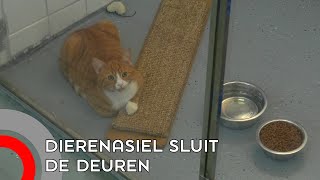 Dierenasiel Sluit De Deuren