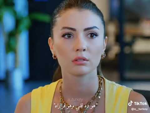 ادي الحب الي انت نسيته تامر عاشور