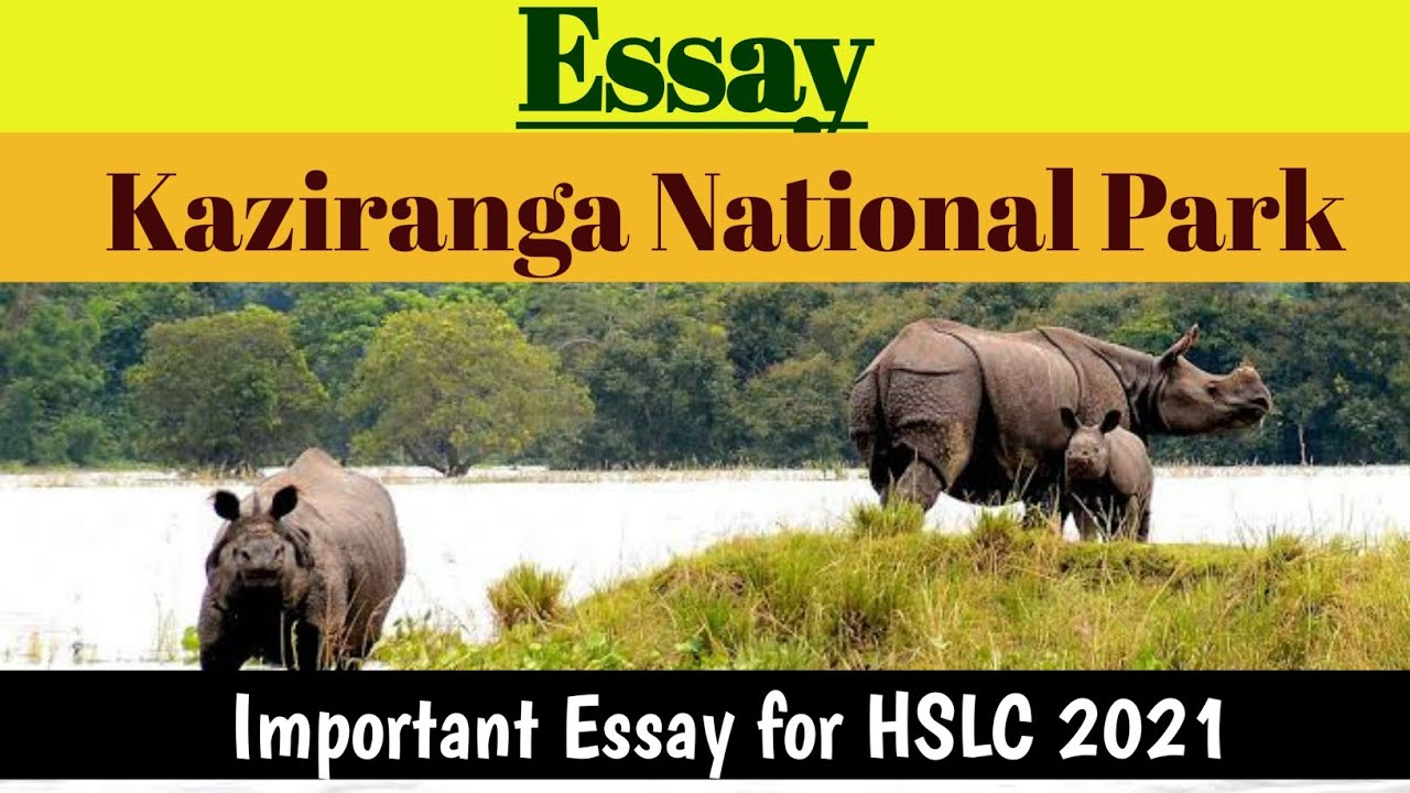 kaziranga national park essay in english 1000 words