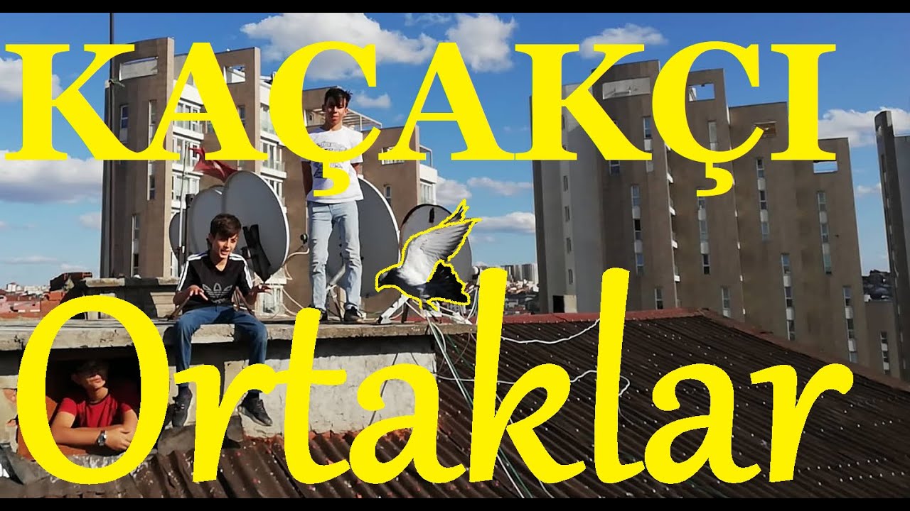 Kaçakçı Ortaklar. Kaynarcanın En Çok Kaçak Güvercin Yakalayan, Kuşçu Ortakları. Eray ve Selim