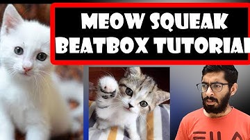 Cat Sound / Meow Squeak Beatbox Tutorial || Hindi || Kunal Bbx Tutorial#12