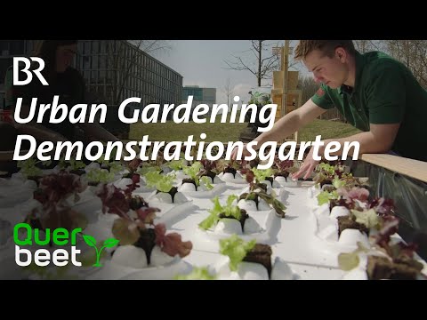 Video: Courtyard Garden Design – Erfahren Sie mehr über die Gartenarbeit in einem Innenhof