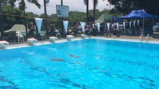 PSL MEET ABUCAY BATAAN- breast. April 29,2017