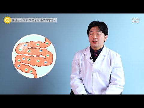 유산균의 효능과 복용 시 주의사항은?