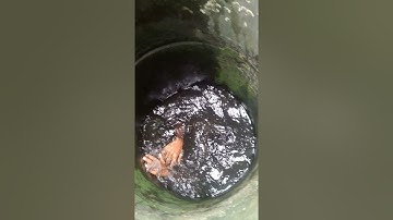 anak nekat masuk sumur