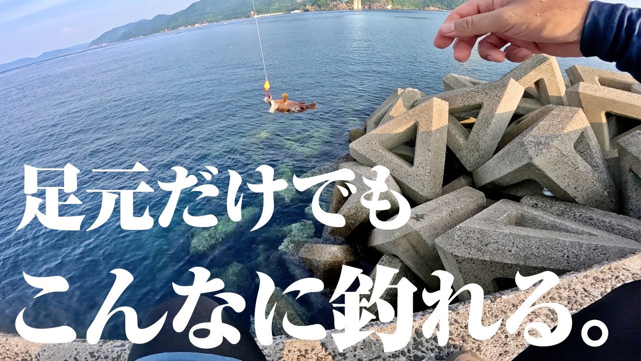超お手軽仕掛けで足元狙い。簡単なのにやっぱり釣れる…改めて釣り初心者に薦めたい釣り方