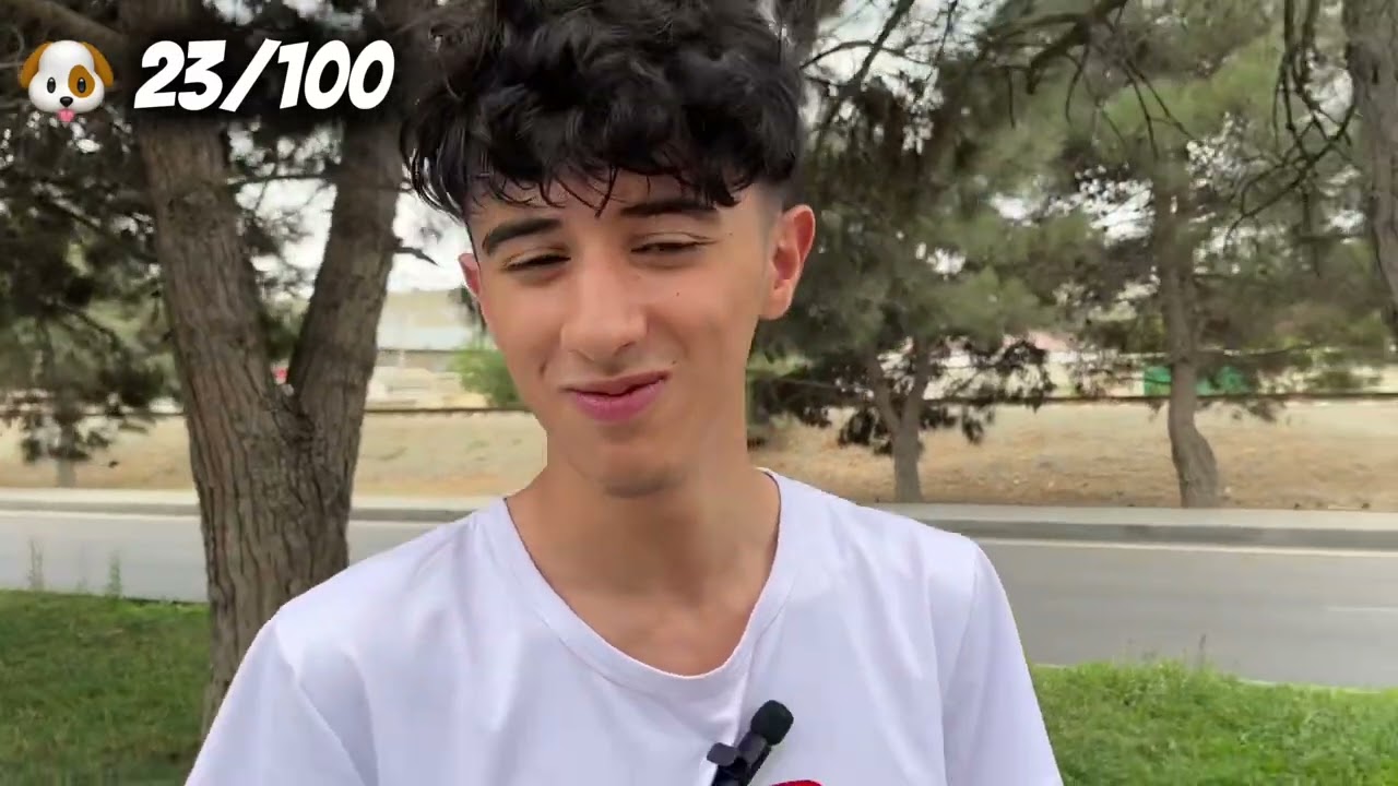 100 Küçə İtini Bəslədim!