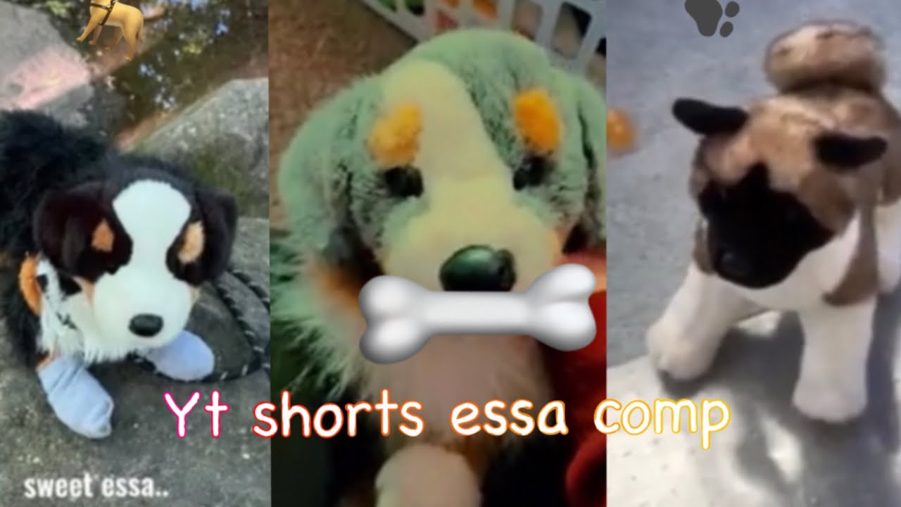 Essa comp! Credits to everyone! 10+mins - YouTube