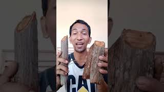 PERKENALAN 3 MACAM BAJAKAH KALALAWIT