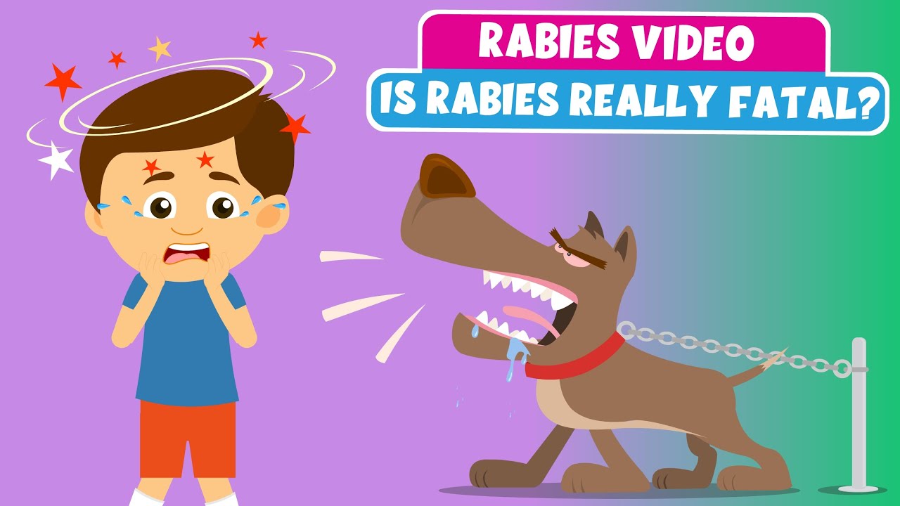 Rabies Video - Is rabies fatal? - Are dogs carriers of rabies? How can a person get rabies?