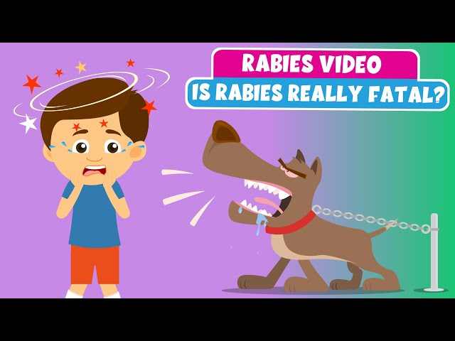 Someone Getting Rabies Rabies Video - Is rabies fatal? - Are dogs carriers of rabies? How can ...