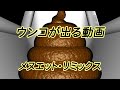 ウンコが出る動画 メヌエット・リミックス