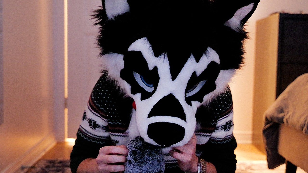 Furry ASMR Positive Affirmations