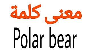 معنى كلمة Polar bear | الصحيح لكلمة Polar bear | المعنى العربي ل Polar bear | كيف تكتب كلمة Polar