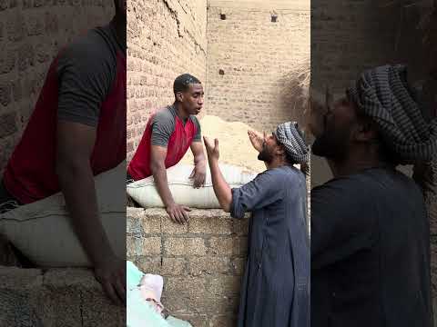 الحاج صديق شغال في التبن هتموت من الضحك 